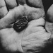 Hard as a rock