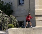 9th Apr 2026 - Balancing on the wall at the library