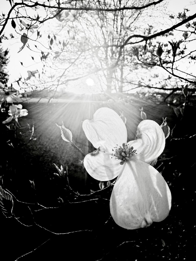 Untitled  by calm