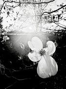 9th Apr 2026 - Untitled 