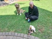 3rd Apr 2026 - Puppy Play Date