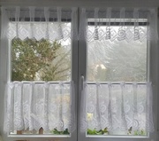 10th Apr 2026 - foggy