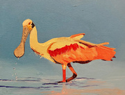 11th Apr 2026 - The roseate spoonbill (acrylic painting)
