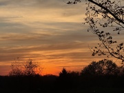 10th Apr 2026 - Thankful for Another Day