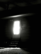 12th Apr 2026 - Prowler