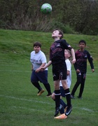 12th Apr 2026 - Using His Head