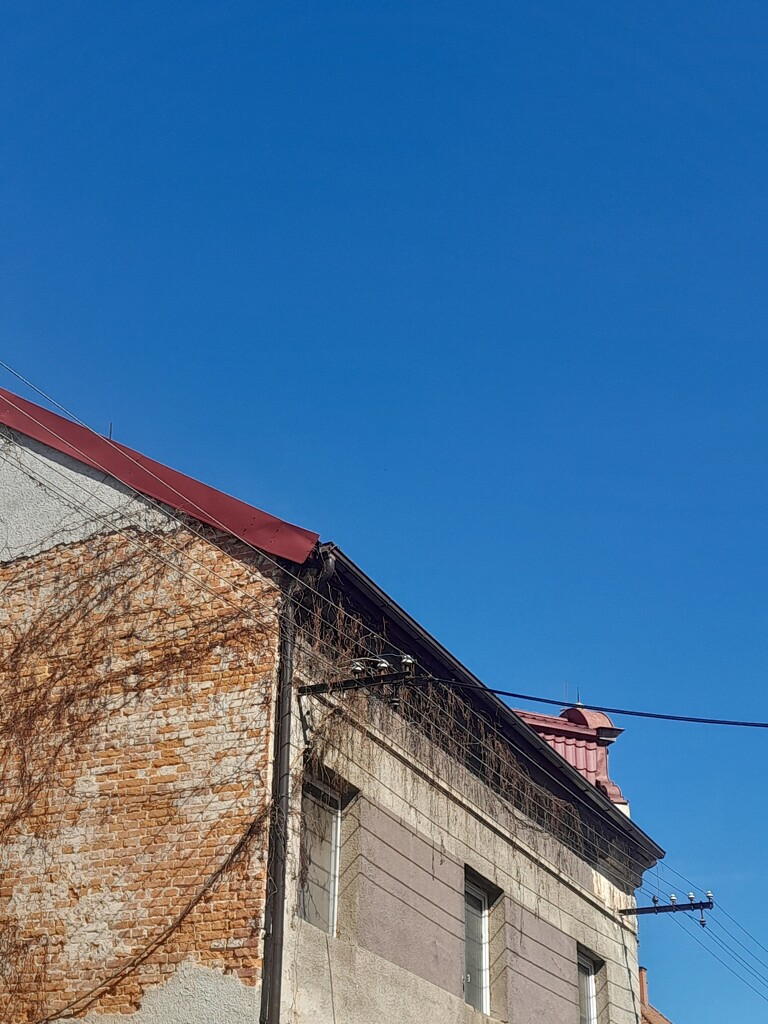 Blue skies!!! by elsieblack145