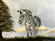 15th Apr 2026 - The zebra (acrylic painting)
