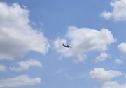 14th Apr 2026 - Coming in for a landing. 