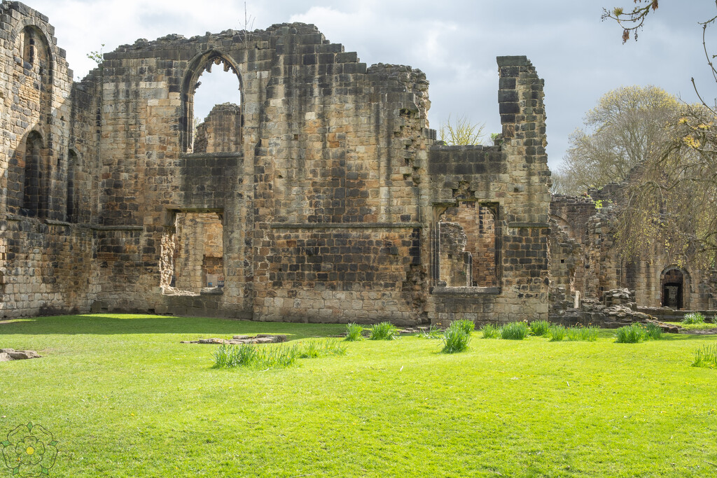 Kirkstall Abbey, Leeds. by lumpiniman