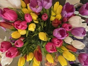 15th Apr 2026 - Spring is bursting