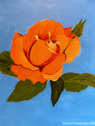 17th Apr 2026 - The rose (acrylic painting)