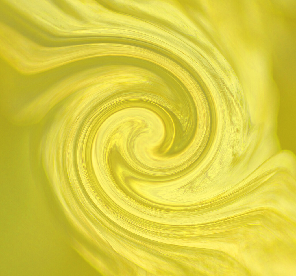 Yellow 3 by annied