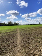 18th Apr 2026 - Spring walk