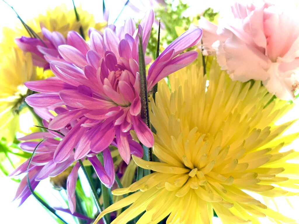 Spring Bouquet  by ikik