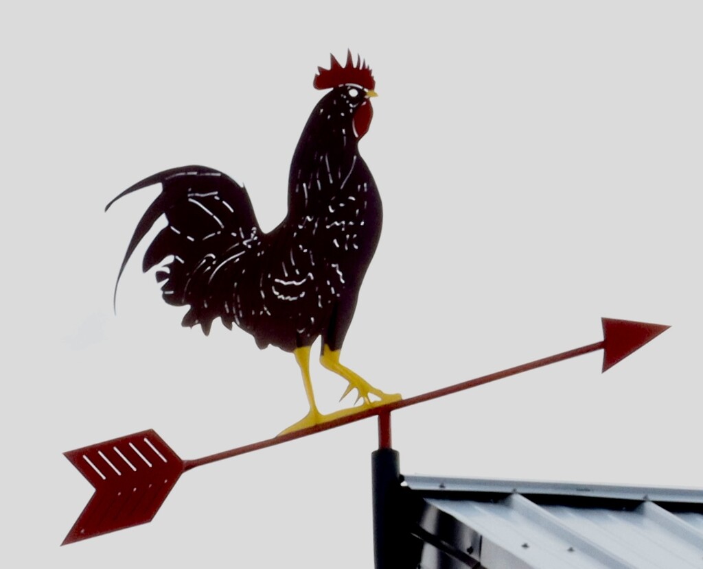 Weather Vane by ikik