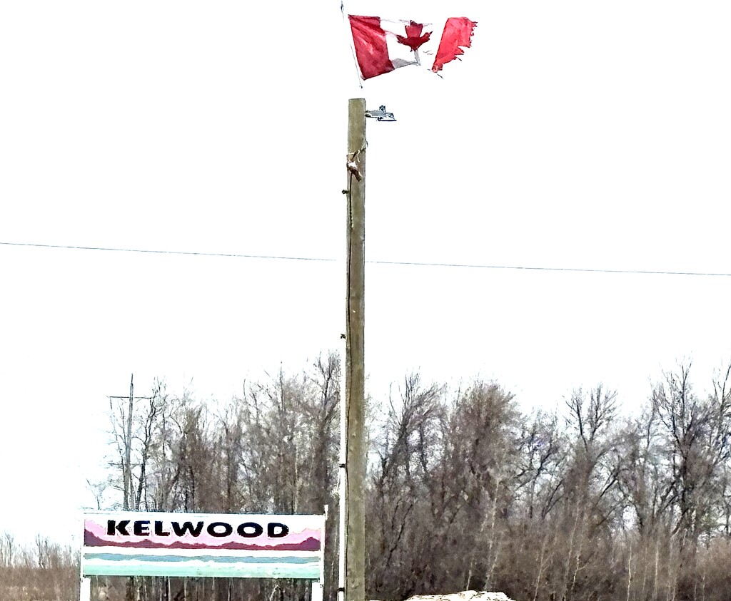 Welcome Kelwood by ikik