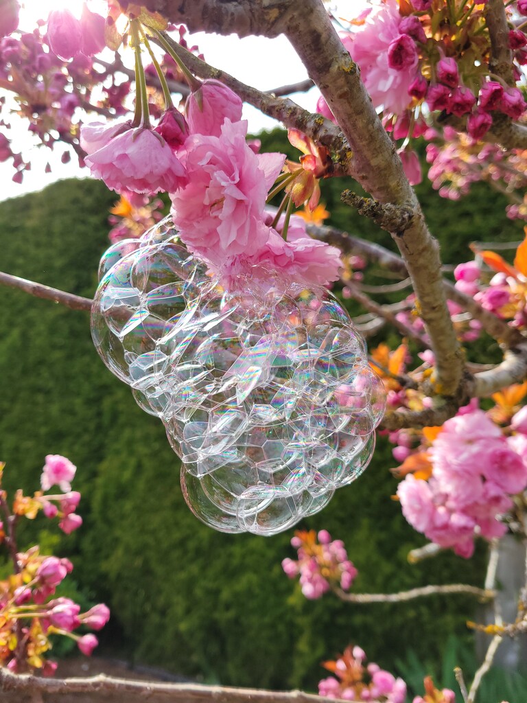 Bubble Fun by kimmer50