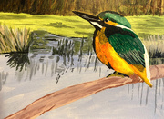 19th Apr 2026 - The kingfisher (acrylic painting)