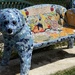 Park Bench