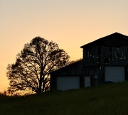 17th Apr 2026 - Evening Light Through the Barn Boards