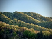18th Apr 2026 - Rolling Hills