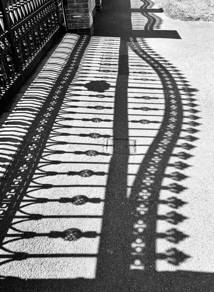 Shadows  by tinley23