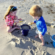 21st Apr 2026 - So Busy With Sand Building