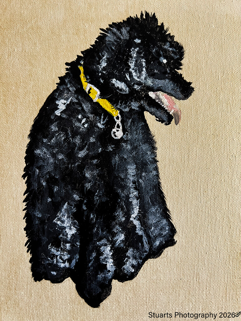 Lily the toy poodle (acrylic painting) by stuart46