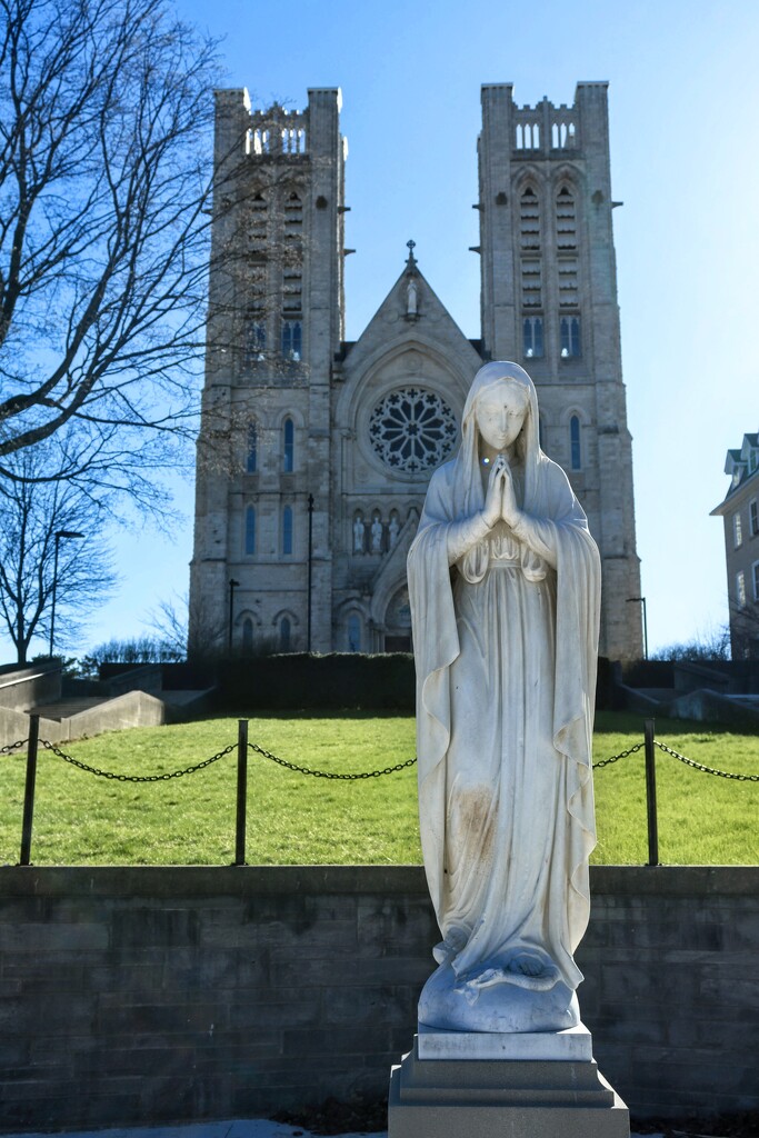 Basilica of Our Lady of the Immaculate Conception by princessicajessica