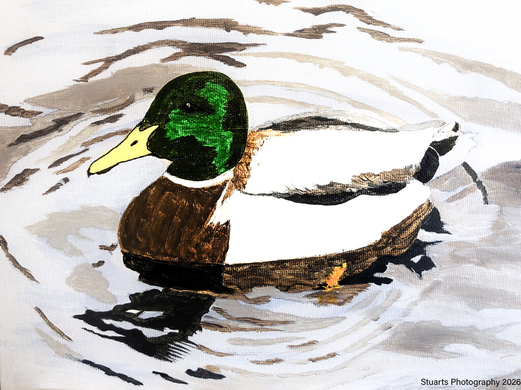 Male mallard duck (acrylic painting) by stuart46