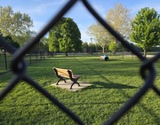 25th Apr 2026 - Dogless Dog park