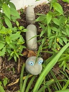 24th Apr 2026 - Flower bed buddy 