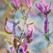 Dreamy Magnolias~~~~~~