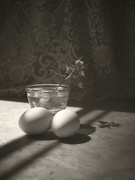 27th Apr 2026 - Sudek 1