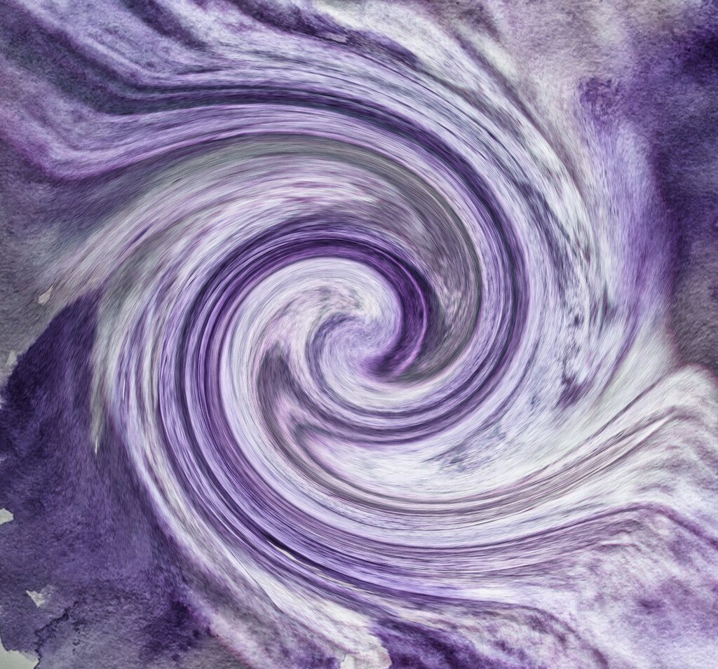 Violet 4 by annied