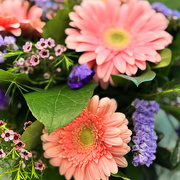 25th Apr 2026 - Flowers For Janie