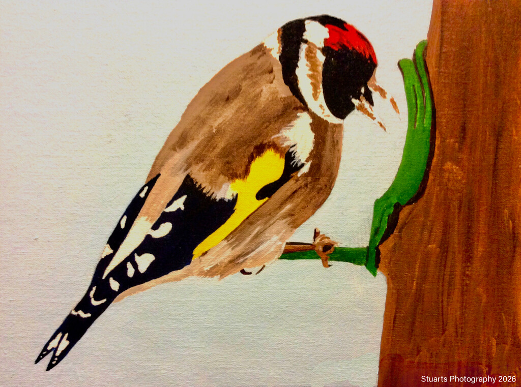 European goldfinch (acrylic painting) by stuart46