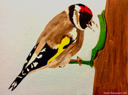 28th Apr 2026 - European goldfinch (acrylic painting)