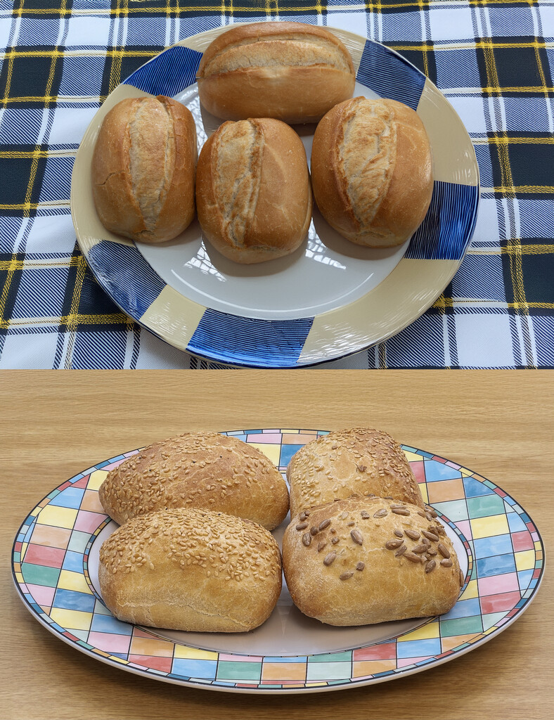 (COMA) They stopped making the seeded bread buns by lumpiniman