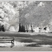 A walk in the park - IR