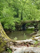 27th Apr 2026 - Shady Stream