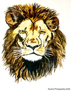 2nd May 2026 - The lion (acrylic painting)