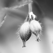 2nd May 2026 - Details to Admire