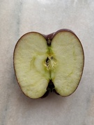 2nd May 2026 - Half apple