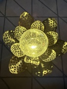 1st May 2026 - Lotus light
