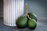 12th Apr 2026 - Limes