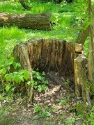 5th May 2026 - The lesser half