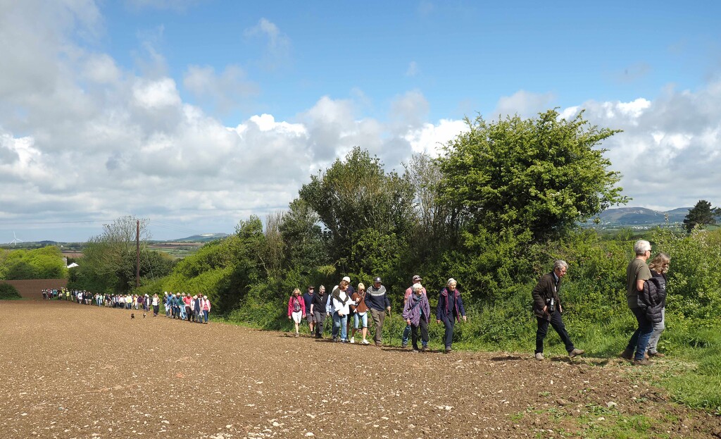 St Ewe Walkers by jon_lip