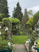 4th May 2026 - Our garden